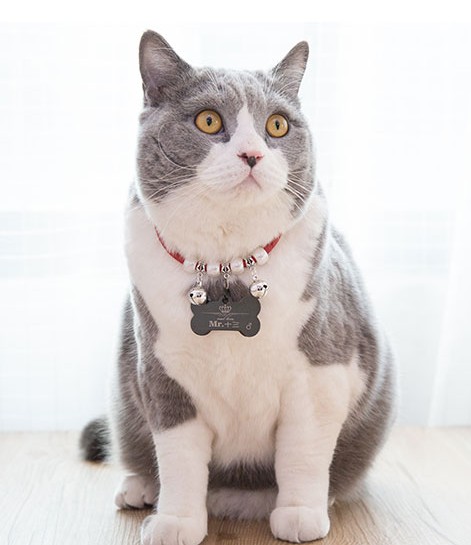 激光雕刻寵物防丟牌